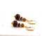 Petite Brown and Gold Color Dangle Earrings, Festive Fall Earrings, Lampwork Jewelry product 4